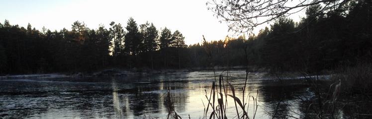 Klikk for stort bilde